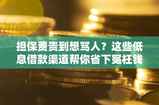 北京担保费贵到想骂人？这些低息借款渠道帮你省下冤枉钱