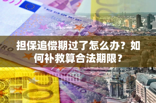 北京担保追偿期过了怎么办？如何补救算合法期限？