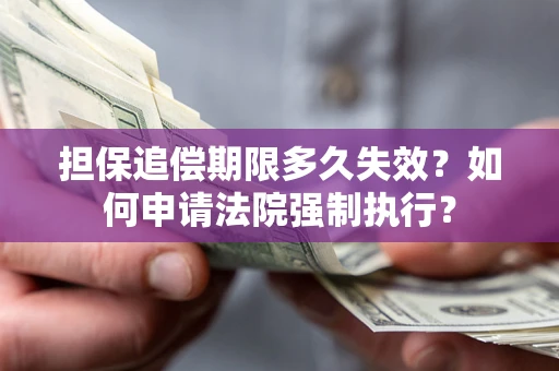 北京担保追偿期限多久失效？如何申请法院强制执行？