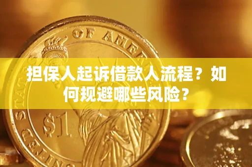 北京担保人起诉借款人流程？如何规避哪些风险？
