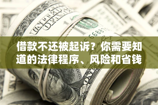 北京借款不还被起诉？你需要知道的法律程序、风险和省钱技巧