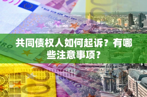 北京共同债权人如何起诉？有哪些注意事项？